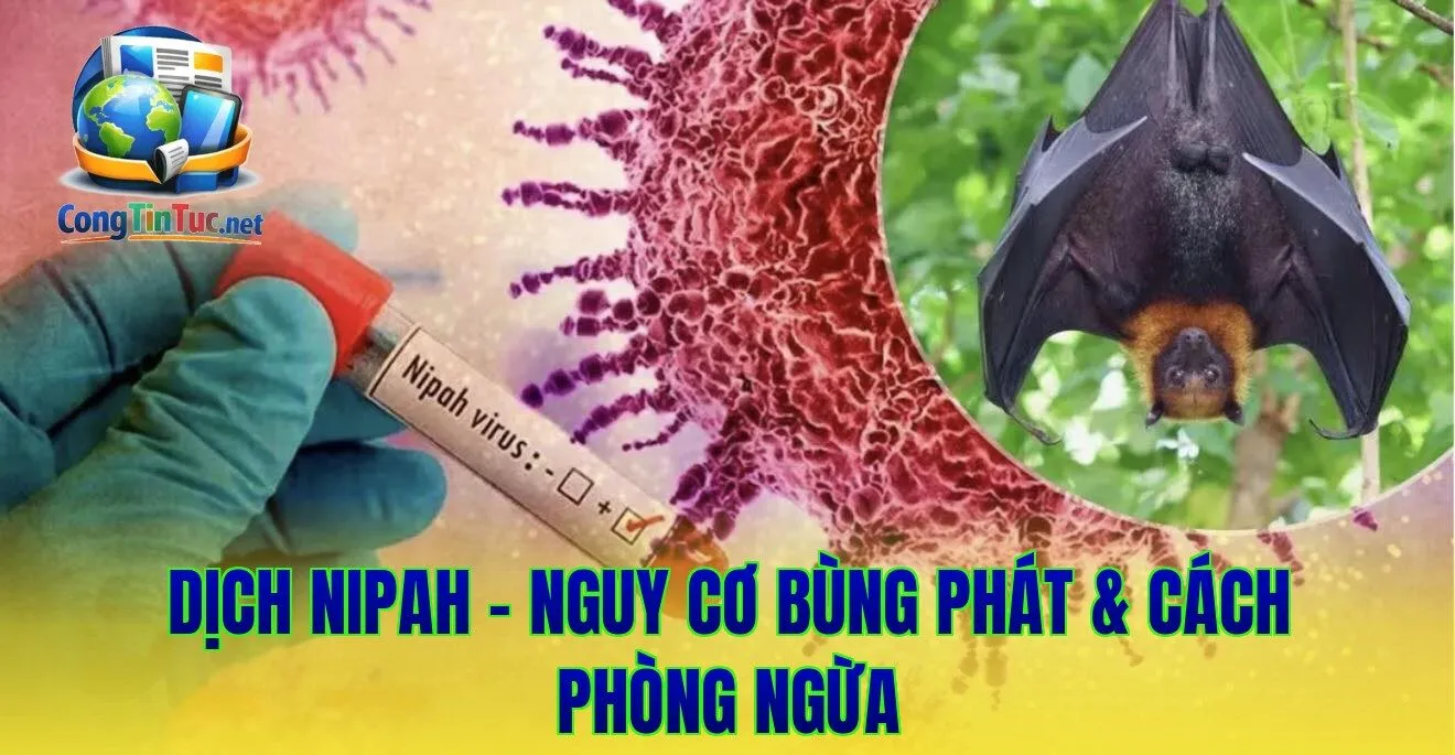 Dịch Nipah - Nguy Cơ Bùng Phát & Cách Phòng Ngừa