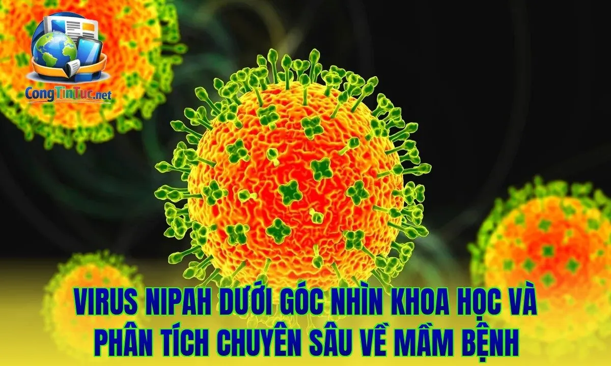 Virus Nipah dưới góc nhìn khoa học và phân tích chuyên sâu về mầm bệnh
