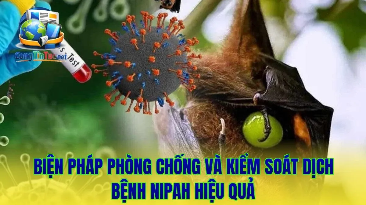 Biện pháp phòng chống và kiểm soát dịch bệnh Nipah hiệu quả
